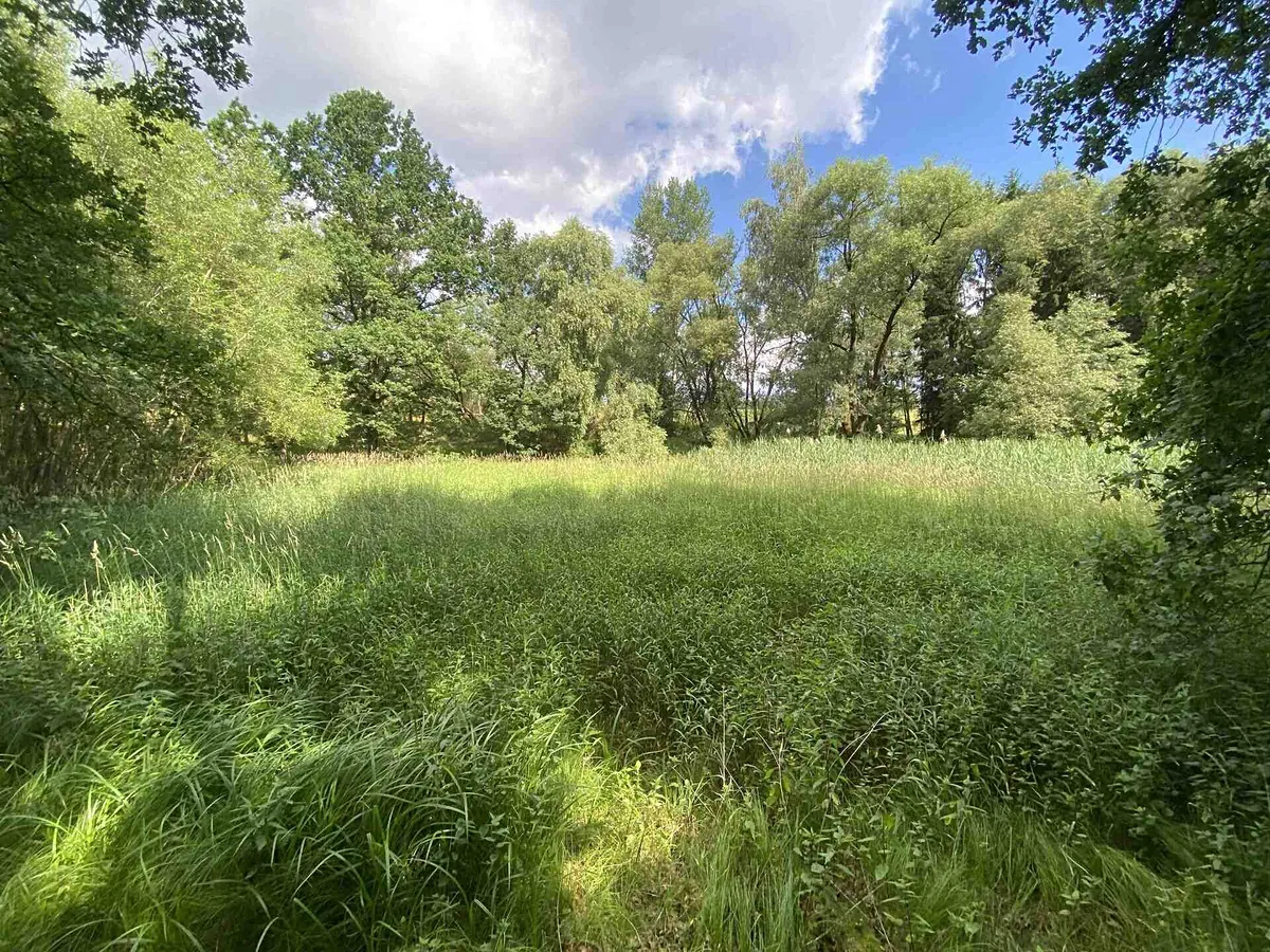 Prodej rybníku (vodní plochy) 4246 m²